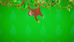 I WONDER - How Long Are Orangutan's Arms? Me Pregunto - Cuánto Miden Los Brazos De Los Orangutanes? Instructional Video