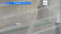 Austria's Health Ministry declares whole country an avian influenza high risk area News Clip