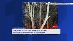 Skydiver rescued after getting stuck in a tree News Clip