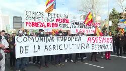 CLEAN : Spanish farmers demonstrate over price hikes and lack of support News Clip