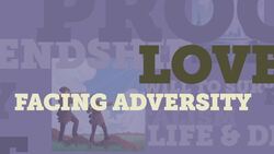 Multiple Plot Lines Instructional Video