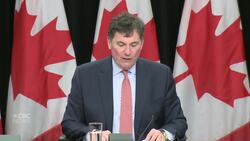 Canada announces $29.8 billion in retaliatory tariffs on U.S. goods News Clip