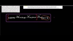 Nitric Oxide Synthase: Physiology, Biochemistry, and Mechanism Instructional Video