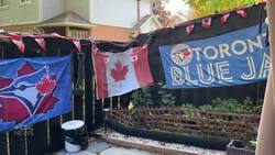 This Kitchener superfan has turned his home into a Blue Jays shrine News Clip