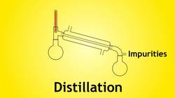 The Extraction Of Plant Oils Instructional Video