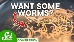 Why Some Parasites Are Actually GOOD (And Which Can Kill You) Instructional Video