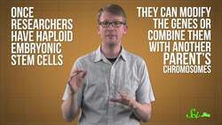 How Researchers Made Mice Pups from Two Moms and Two Dads | SciShow News Instructional Video