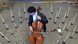 The Cello: a Versatile Stringed Instrument Instructional Video