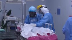 VOICED : Estudio preliminar revela que el coronavirus puede invadir el cerebro News Clip