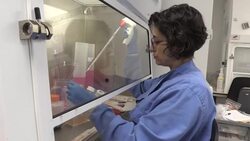 Coronavirus Vaccine - Scientists Work in Lab News Clip