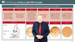 Using a Light Microscope: Steps to Obtain Magnified Images of Cells Instructional Video