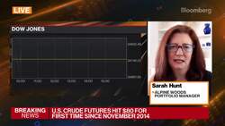 Alpine Wood's Portfolio Manager on Equity Markets News Clip