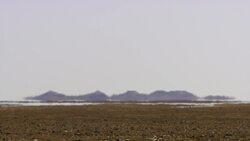 How to Catch an Inland Taipan Instructional Video