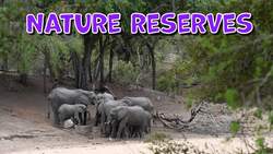 High Five Facts - Kenya Instructional Video