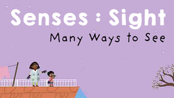 Different Perspectives - Many Ways To See Instructional Video