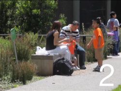 Investigating Heredity: Video Quiz Instructional Video