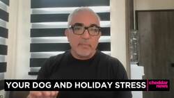 Stretching Your Dollar: Caring for Your Pets This Holiday Season News Clip