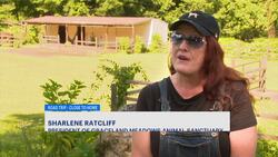 Ossining sanctuary gives animals and people a second chance News Clip