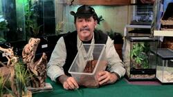 5 Cool Facts & Care Tips for Vietnamese Centipedes Instructional Video