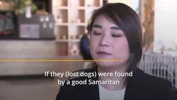 ‘Each dog has a unique nose’: South Korea tests out 'nose print' ID for national pet registration News Clip