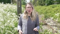 Your allergies are about to get worse News Clip