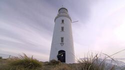 Bushwhacked! - Series 1 - Episode 10 (Penguins) Instructional Video