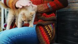 Outdoor knitting Stock Footage
