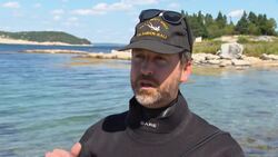 'That's a shark!': Scuba divers encounter great white off Nova Scotia News Clip