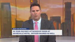 Police: Sayreville officers shoot 2 dogs to stop attack on 10-year-old boy News Clip