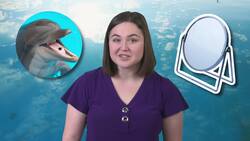 The Intelligence and Social Complexity of Dolphins Instructional Video