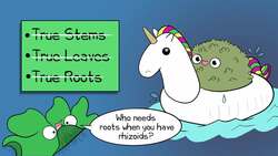 Plants: Diversity, Structure, & Adaptations Instructional Video
