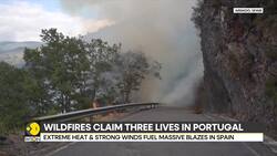 Spain wildfires: over 400,000 hectares ravaged by fires, UNESCO site Las Medulas also affected News Clip