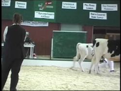 Force and Newton's Laws: Summing Up Instructional Video