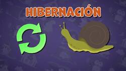 I WONDER - What Happens To Animals When They Hibernate? Me Pregunto - Qué Les Sucede A Los Animales Cuando Hibernan? Instructional Video