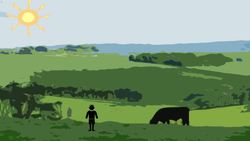 Quarrying Instructional Video