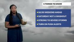 STORM WATCH: Foggy morning kicks off stormy weekend in Brooklyn News Clip