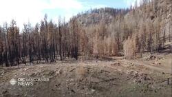 Months after Shuswap wildfire, community braces for future flames News Clip