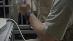 Pregnant Panda! Watch as This Giant Panda Gets an Ultrasound Instructional Video