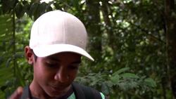 Fourth Mission: Spot a Highly Endangered Cassowary Instructional Video