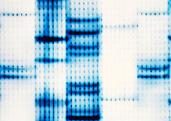 Factpack: DNA Instructional Video