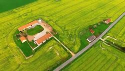 Camera flight over blooming rapeseed field with farm and road. Renewable energy source. Production of biofuel in European Union. Stock Footage