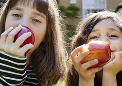 Eating food Instructional Video