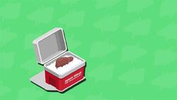 I WONDER - What Happens When The Liver Gets Damaged? Instructional Video