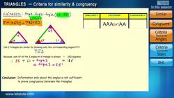Triangles - Criteria for Similarity and Congruency Instructional Video