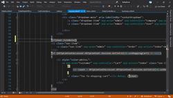 The Complete Guide to ASP.NET Core MVC (.NET 5) - Change Navbar Title for Order Instructional Video