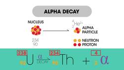 Radioactive Decay Equations Instructional Video