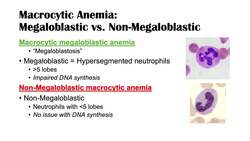 Macrocytic Anemia | Megaloblastic vs Non-Megaloblastic | Approach & Causes Instructional Video