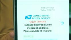 Scam alert: Report shows which companies are impersonated the most News Clip