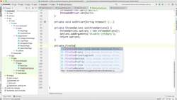 Selenium WebDriver Advanced - Industry Standard Framework - How to Set Browser Options Instructional Video