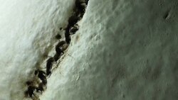 Human Skull Analysis Stock Footage